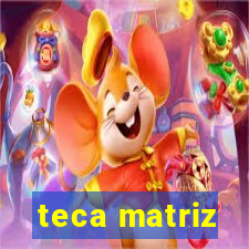 teca matriz